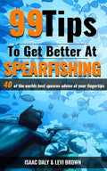 99 Tips to Get Better at Spearfishing: Actionable information to improve your spearfishing